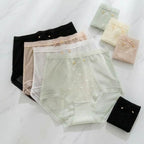 Lace Panties